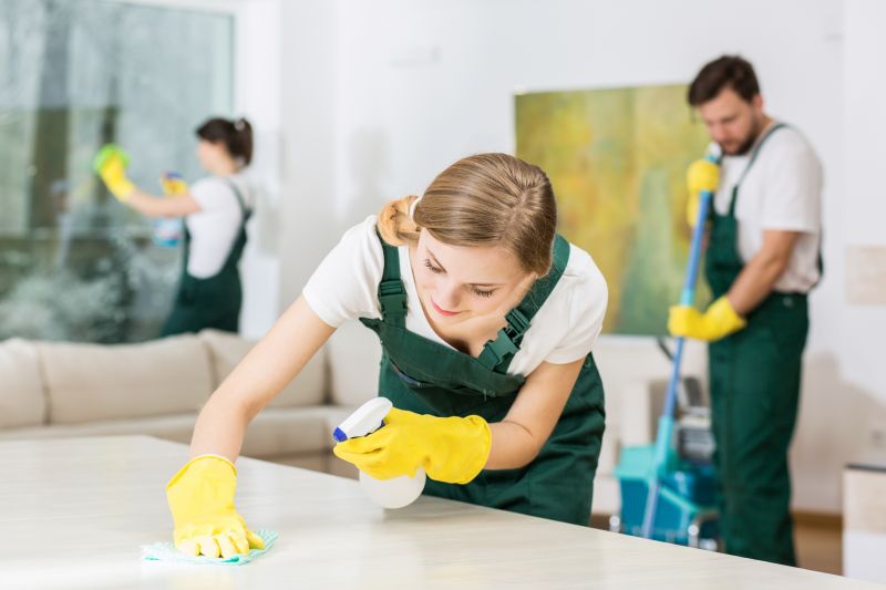 Kitchen Cleaning Service in Renton, WA