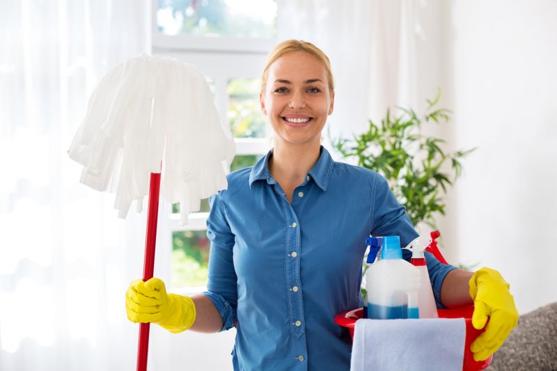 Monthly Maid Service in Frisco, TX